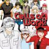 Manga Kodansha | Cells At Work!, Vol. 6