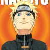 Manga Viz Media | Naruto Illustration Book