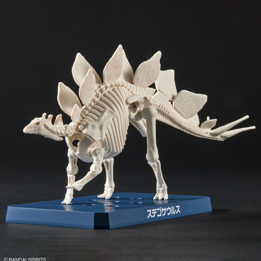 Model Kits Bandai | Dinosaurs - Hobby Kit - Plannosaurus Stegosaurus